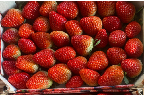 Strawberries